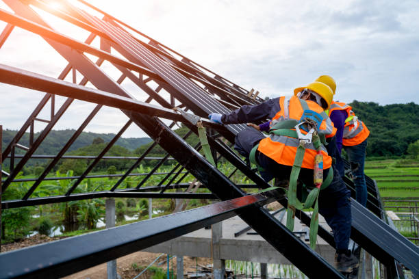 Best Shingle Roofing Installation  in Roseau, MN
