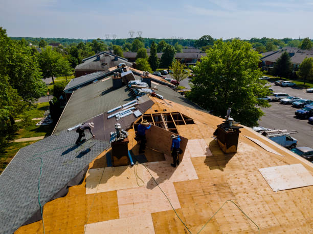 Best Storm Damage Roof Repair  in Roseau, MN