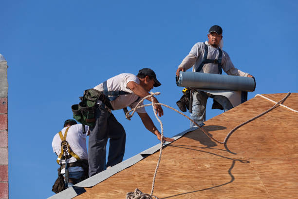 Best Roof Waterproofing Services  in Roseau, MN