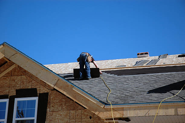 Best New Roof Installation  in Roseau, MN