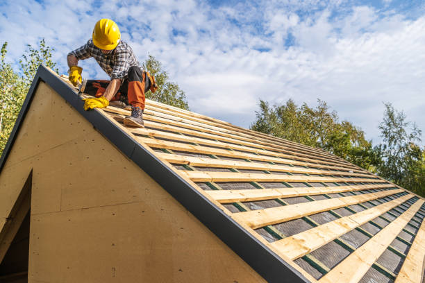 Best Slate Roofing Contractor  in Roseau, MN