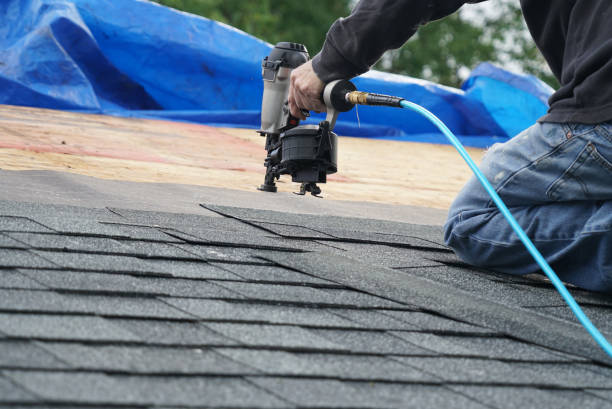 Best Roofing Contractors for Homes  in Roseau, MN
